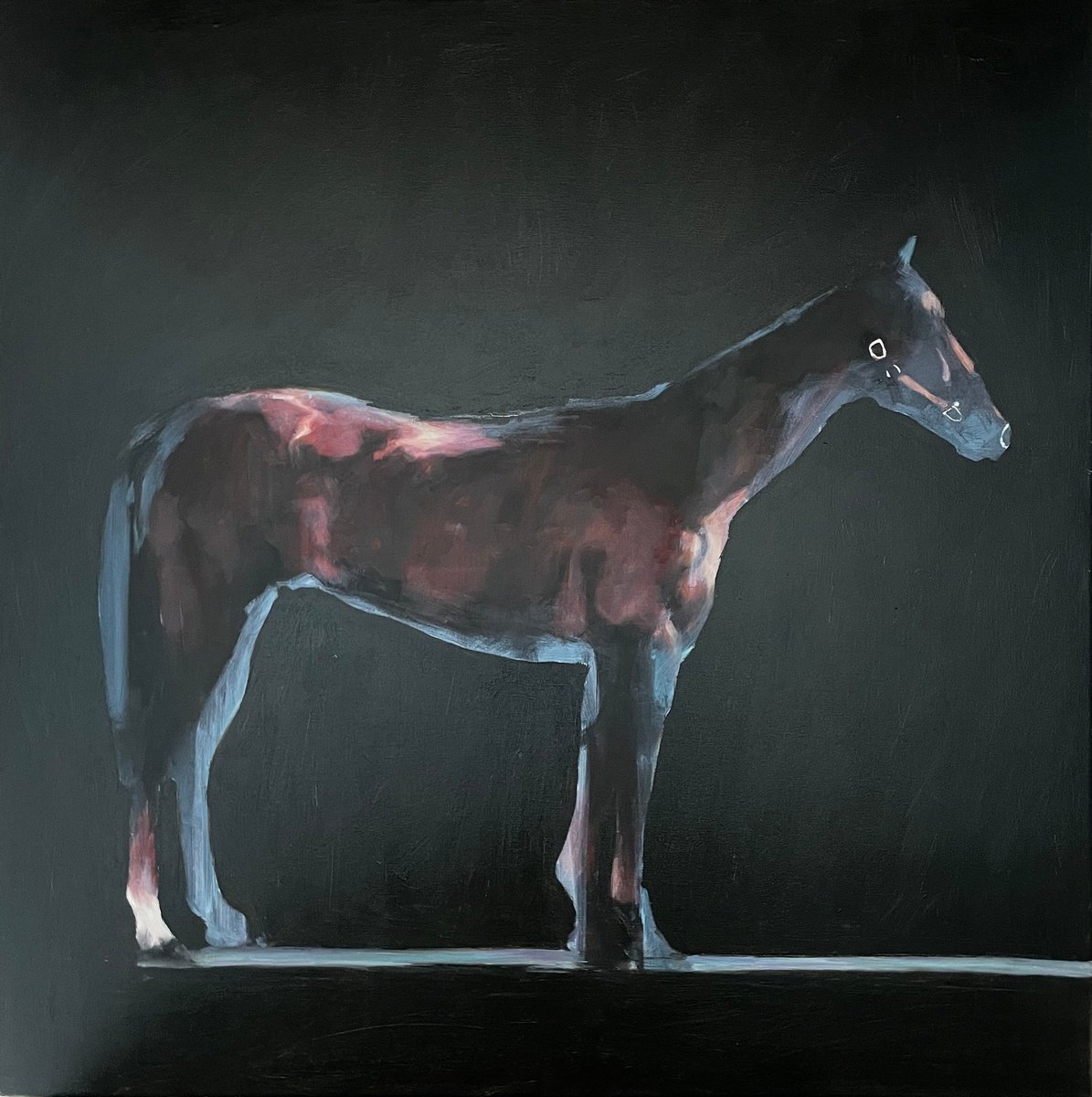 Expressive Animal Oil Painting By Elina Evstig, 31 X 31, Untitled #18, Original Artwork