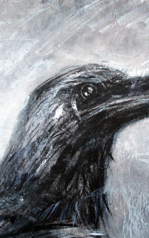 Raven. Longsleddale 3 by John Sharp