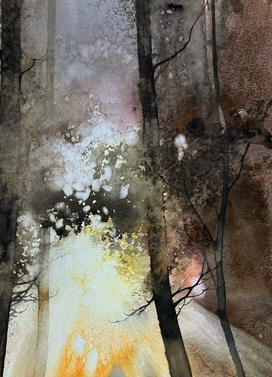 warm forest