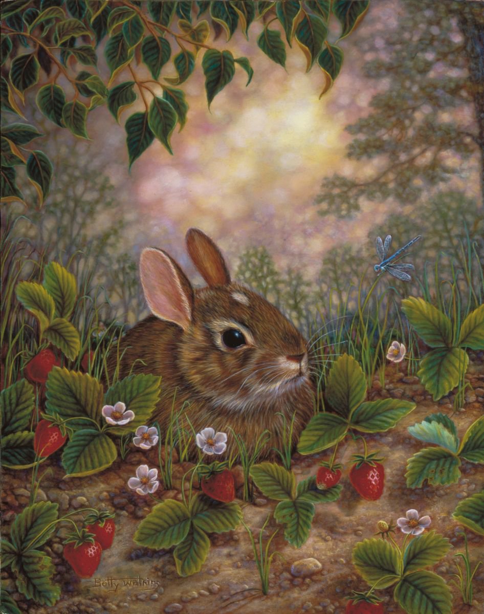 Rabbit with Strawberries by Betty Watkins
