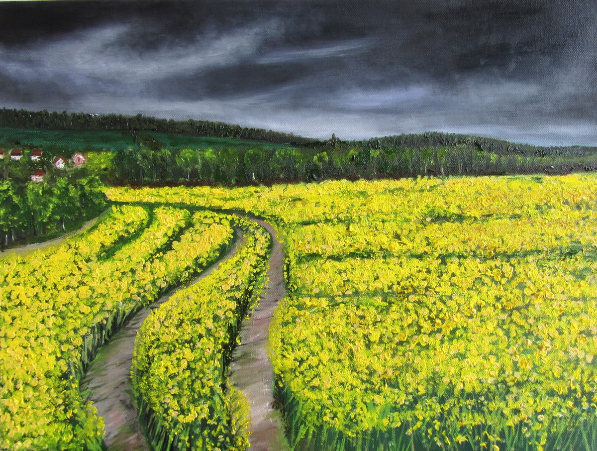 Rapeseed fields by Ira Whittaker