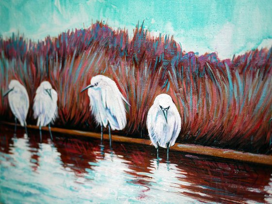 Egrets in Camargue