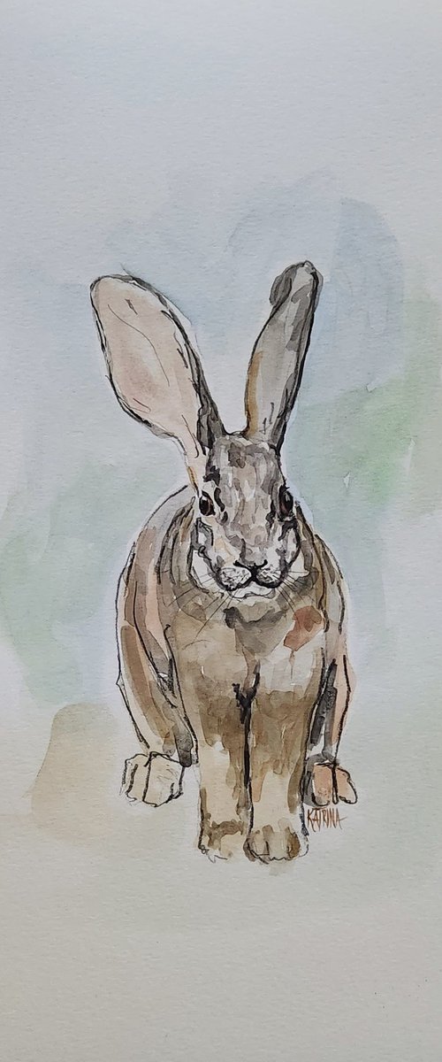 Riverine Rabbit by Katrina Case