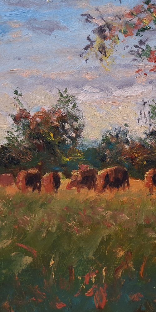 Cattle Grazing In Rural France by Robert Mee