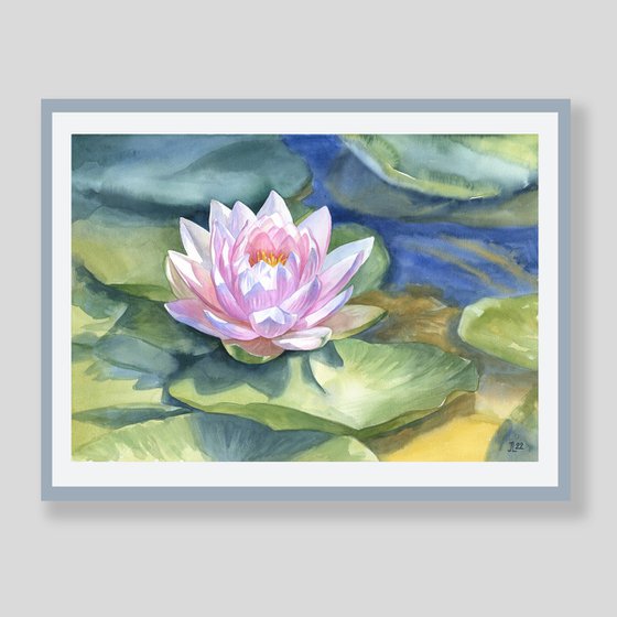 Pink water lily original watercolor painting gift for her lotus flower floral