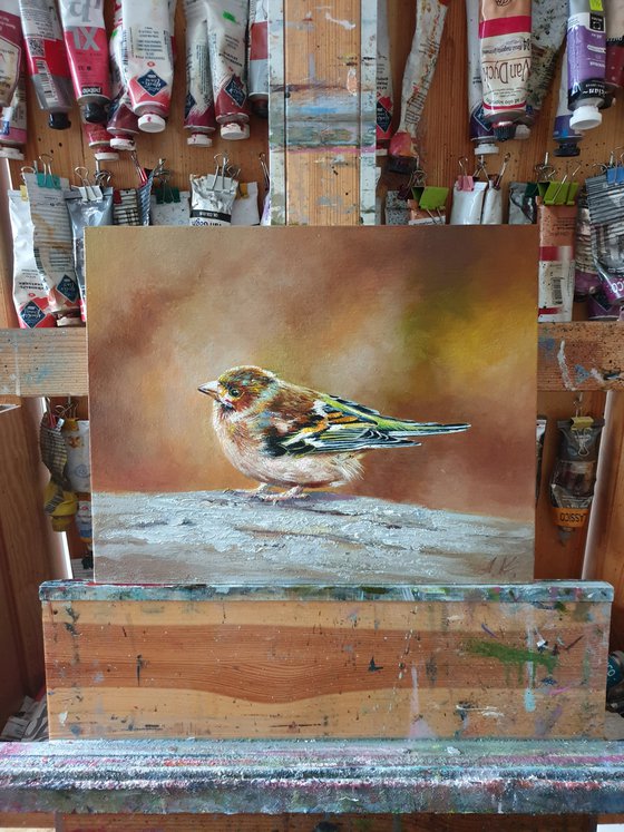 "Little bird. "