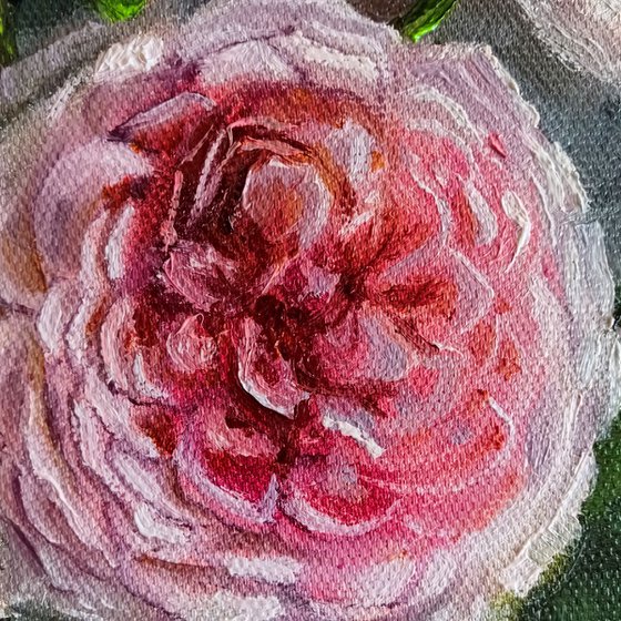 Roses bouquet