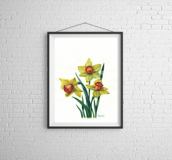 Daffodils #2/Flower Series
