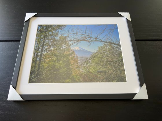THE GLIMPSE OF FUJI
