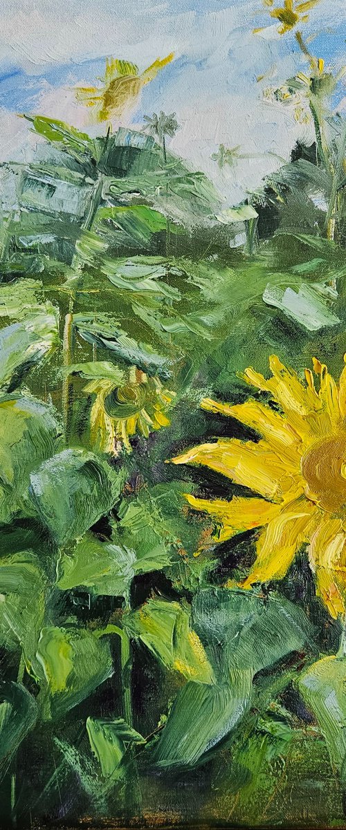 Sunflower by Vera Stein