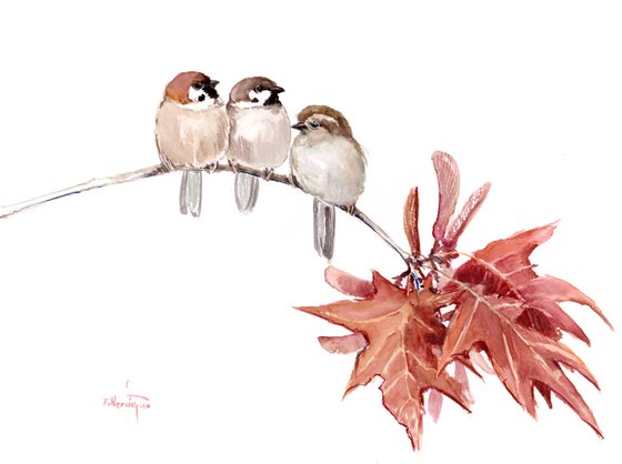 Three Sparrows