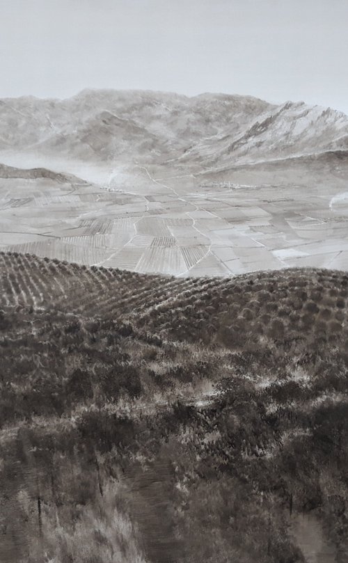 MAR DE OLIVOS by Rafael Carrascal