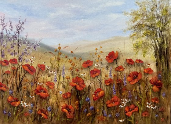 Poppies in the heart
