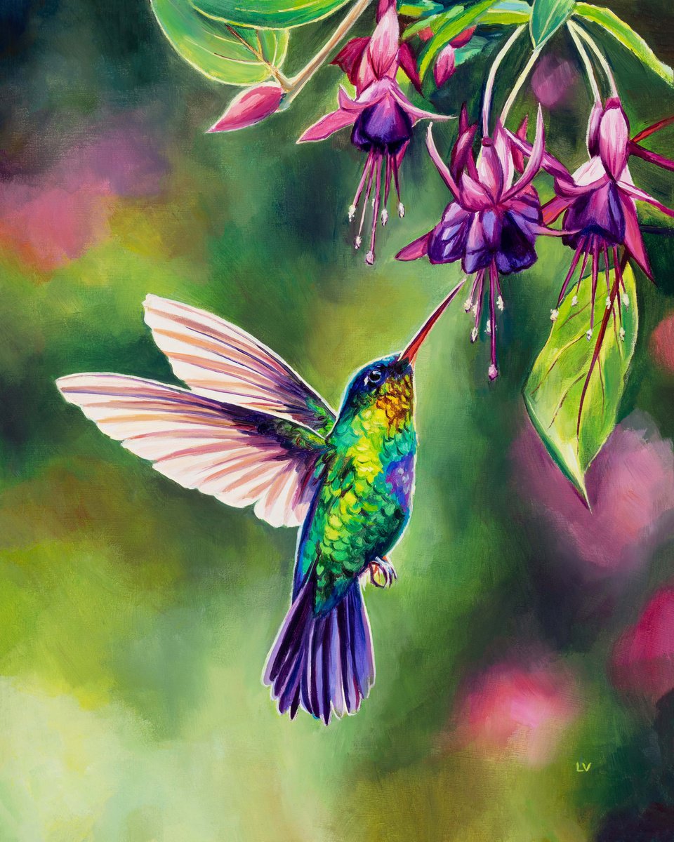 Hummingbird with fuchsia flowers by Lucia Verdejo