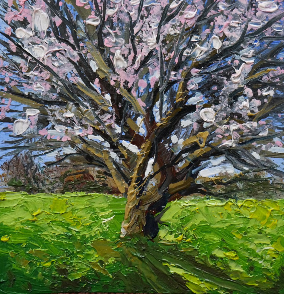 Impressionistic Landscape Oil Painting By Eugene Gorbachenko, 6 X 6, Apricot Blossoms, Original Artwork