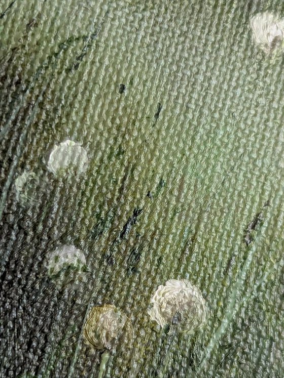 Dandelion Meadow at Sunrise