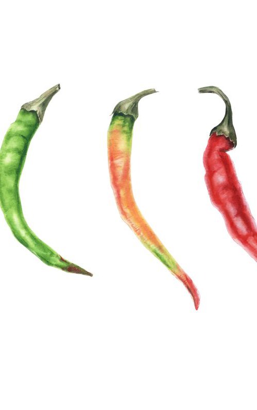 Chili Rainbow by Olga Koelsch