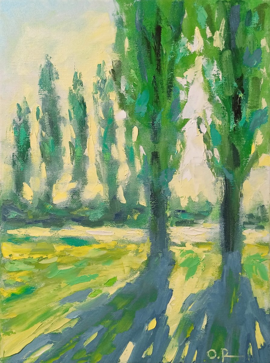 Impressionistic Landscape Oil Painting By Oleh Rak, 12 X 16", Sun In Poplars 2, Original Artwork
