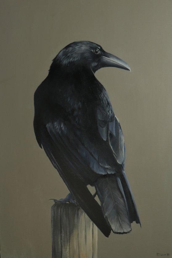 Crow, Portrait of a Black Crows, Oil Painting, Bird Artwork, Animal Art Original, Not Print