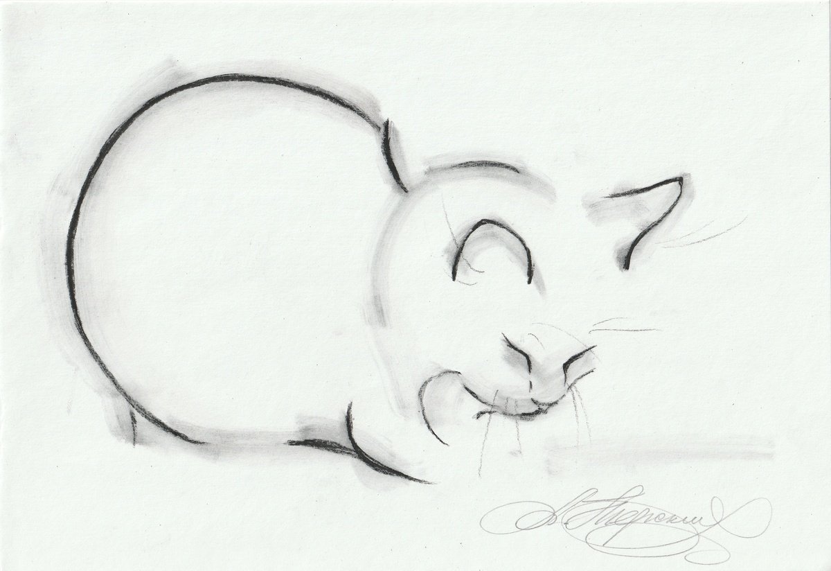 Animal Charcoal Drawing By Anastasia Terskih, 11 X 7, Cat, Original Artwork