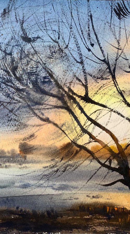 Tree and sunset by Eugenia Gorbacheva