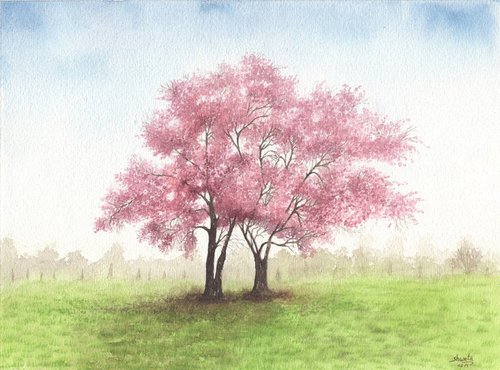 Cherry Blossom Trees by Shweta  Mahajan