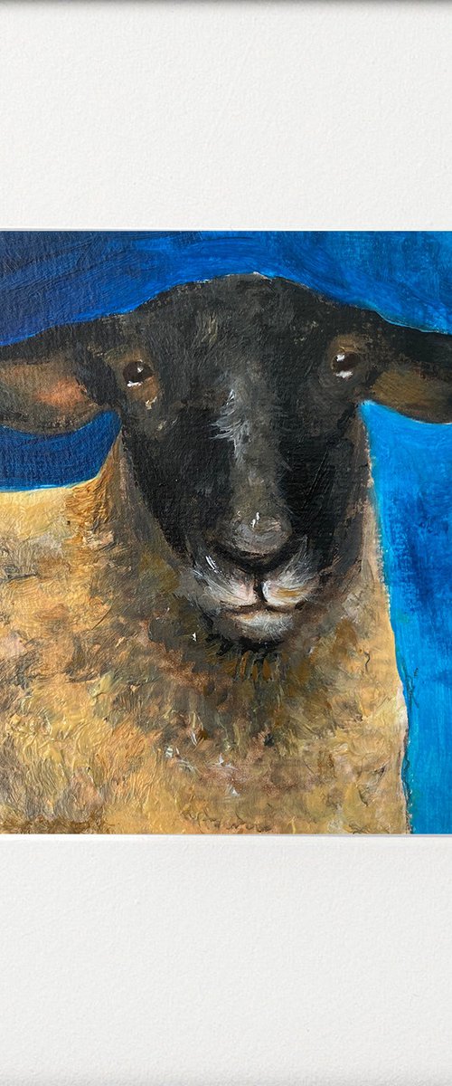 Black Face Ewe by Teresa Tanner