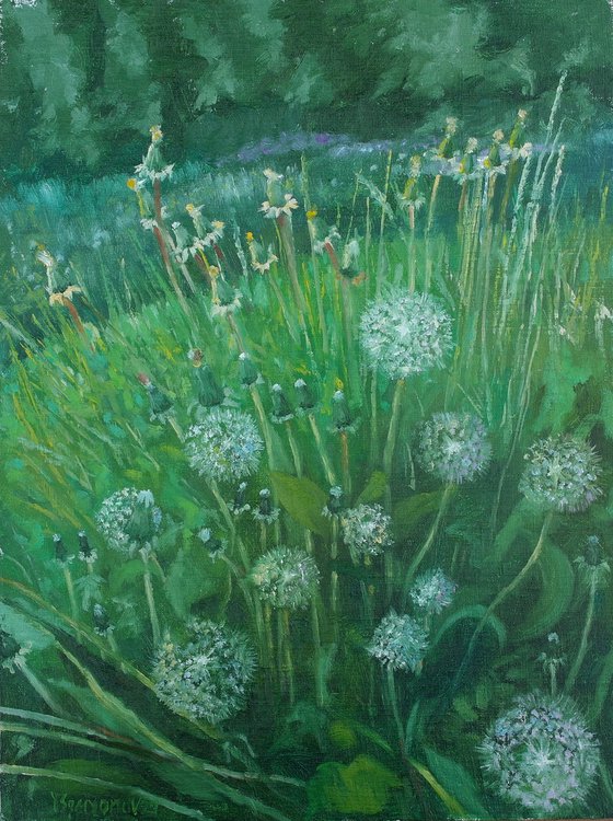 Dandelions