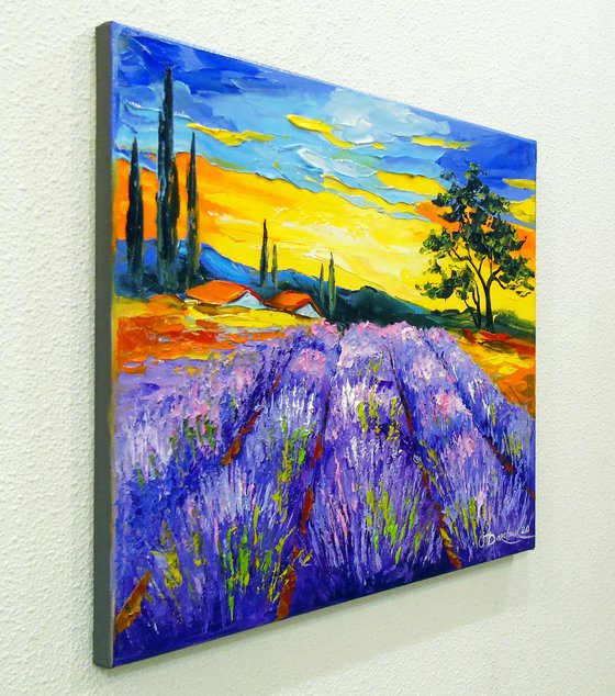 Lavender field