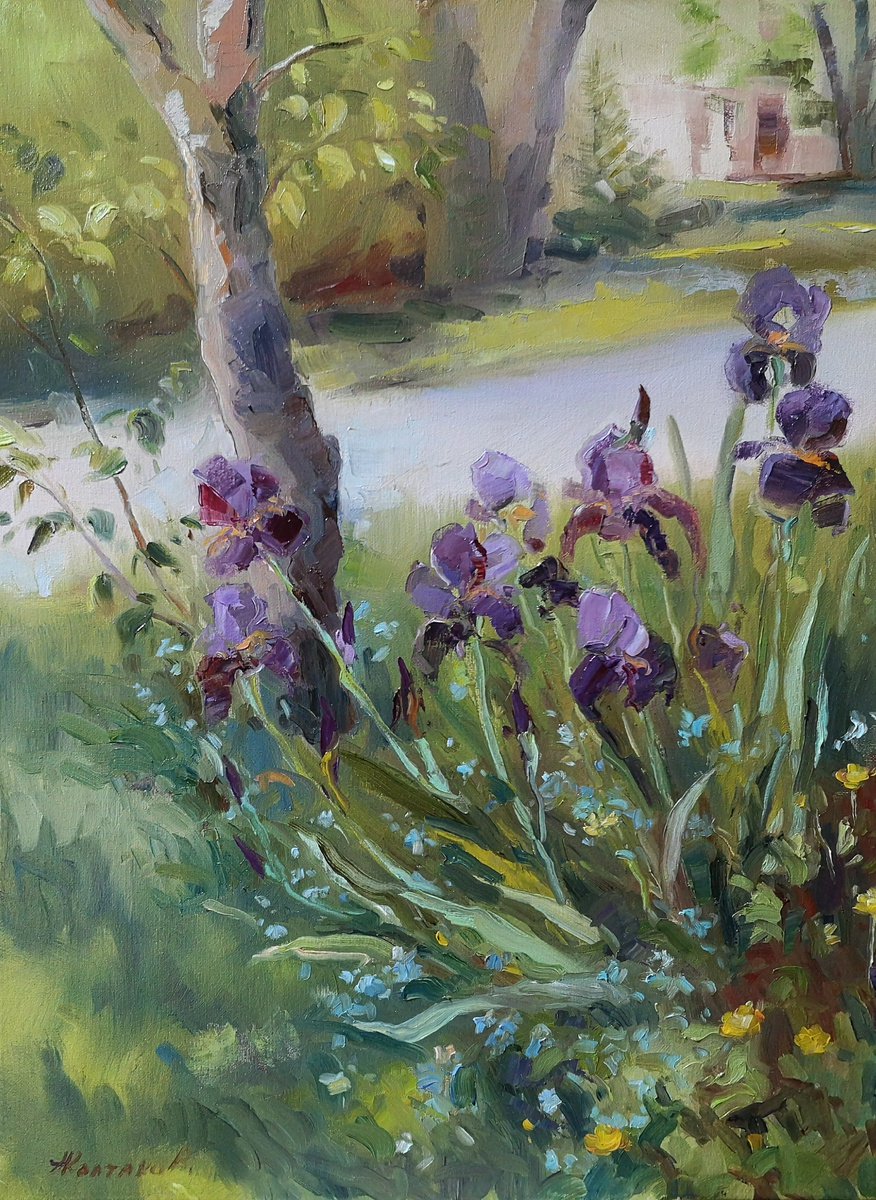 Irises (plein air), original, one of a kind, oil on canvas impressionistic style painting... by Alexander Koltakov