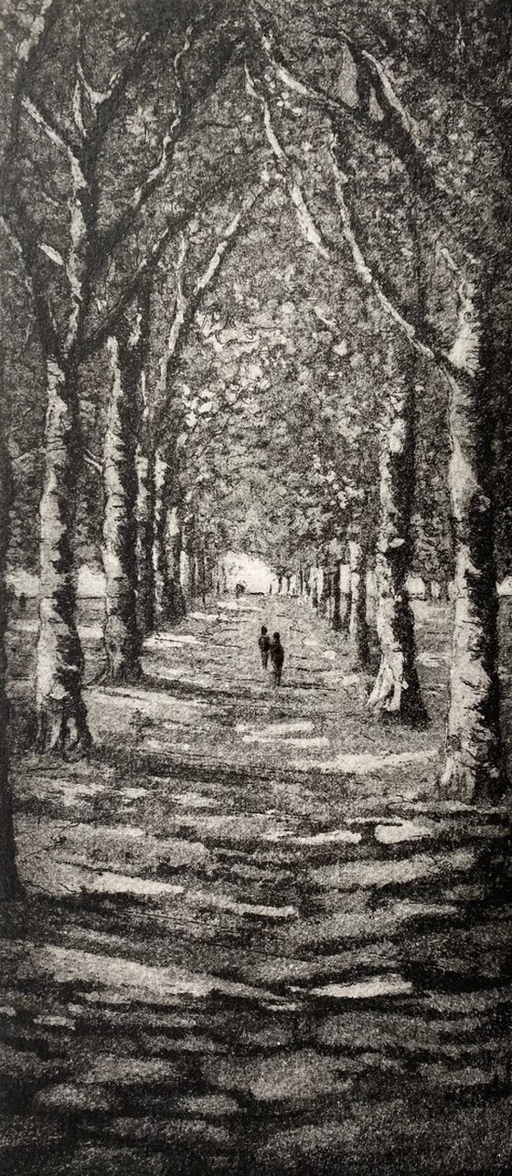 Between the Trees, Hyde Park