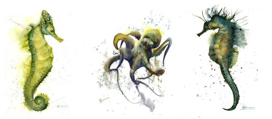 Ocean Creatures - Triptych