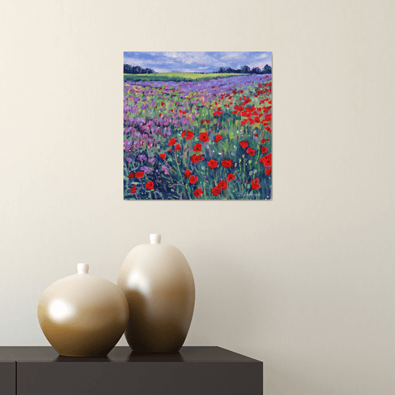 Poppy Flower Meadow