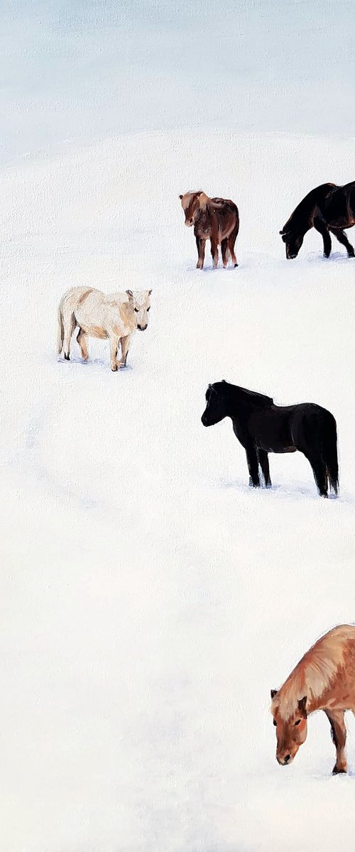 In the Winter Field by Daria Startseva