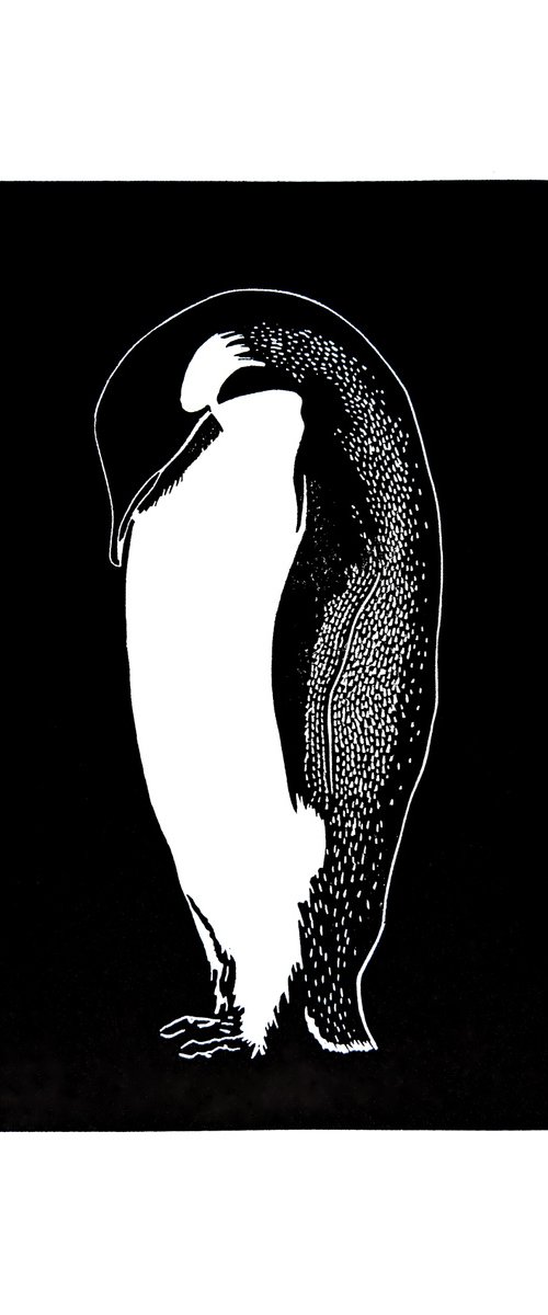 Penguin by Bob Cooper
