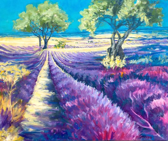 Lavender fields