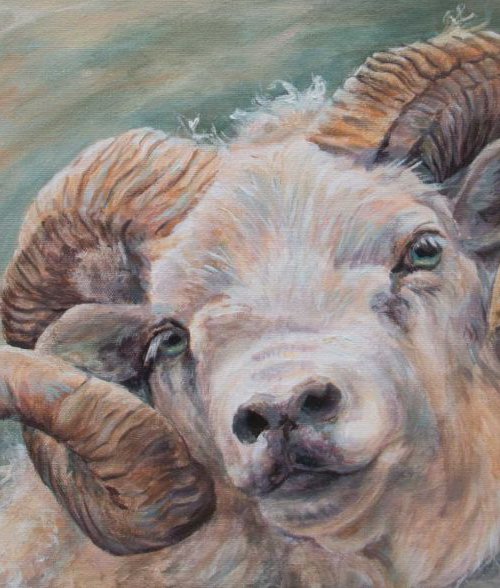 Hey Ewe by Ruth  Aslett
