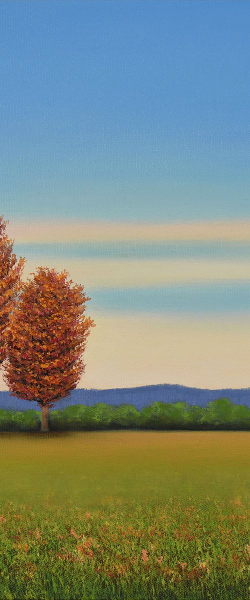 Fall Red Trees - Blue Sky by Suzanne Vaughan