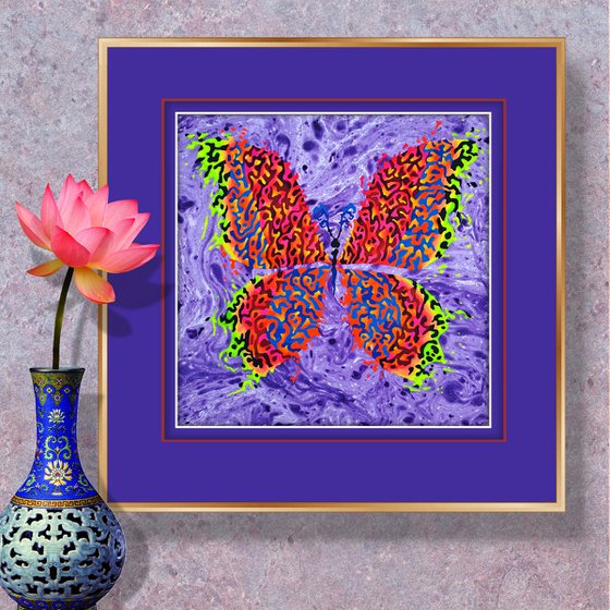 Butterfly «Tropical Sunset»