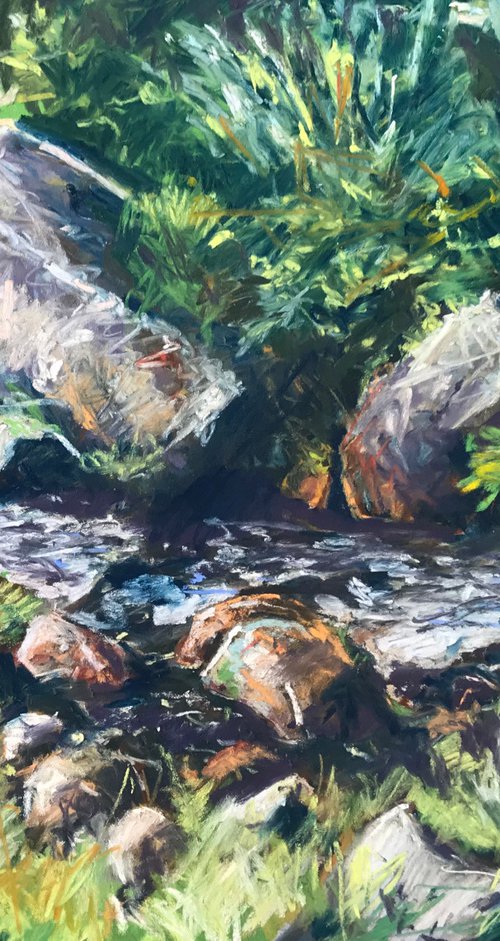 Rocky Stream by Andrew Moodie