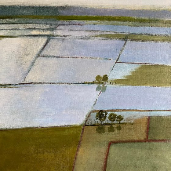 Wessex Marshes