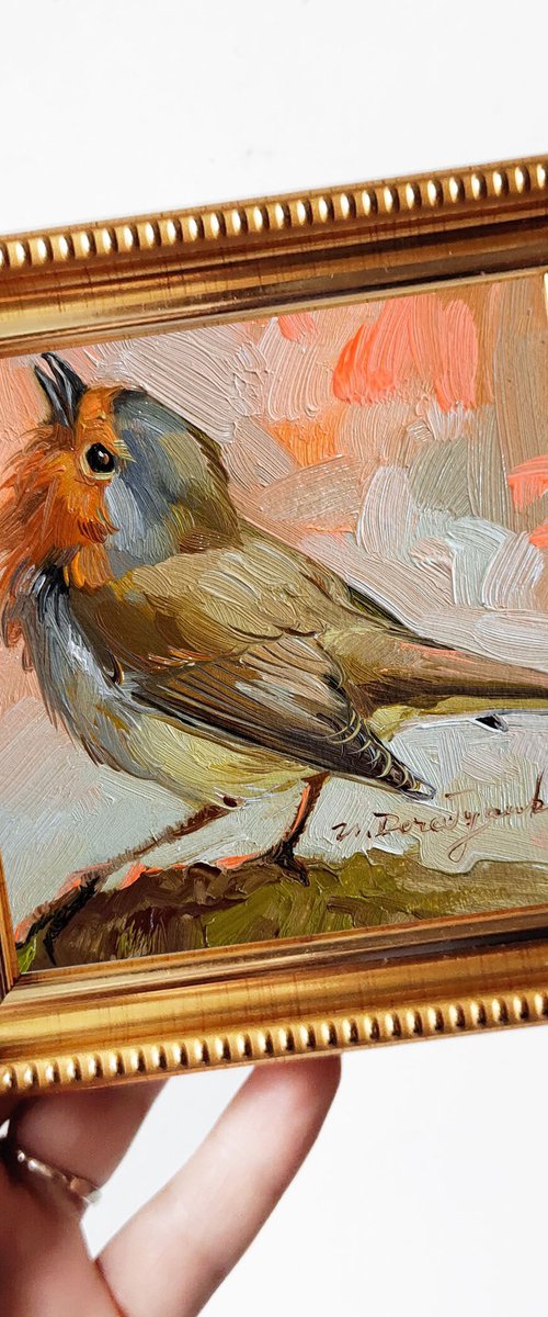 Robin bird by Nataly Derevyanko