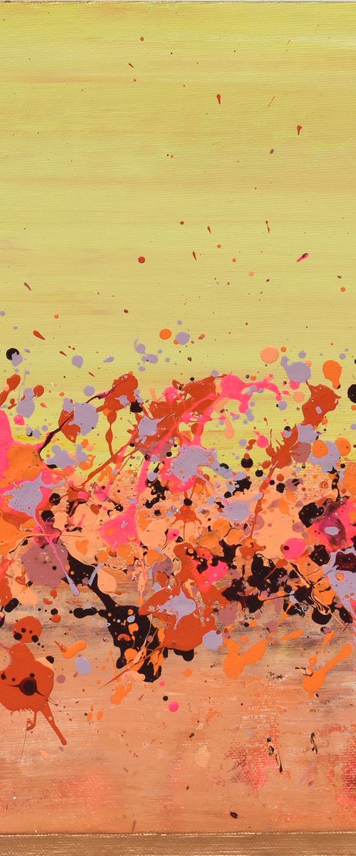 Sunkist Coral 3 by Lisa Carney