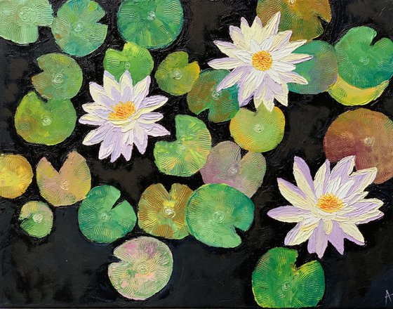 3 water lilies