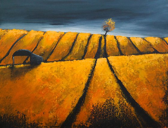 The Oranges and the storm - Fields and Colors Series