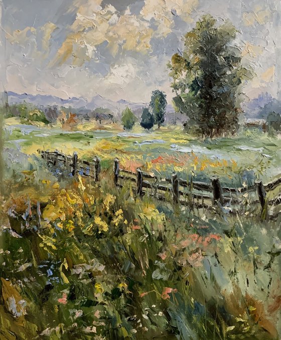 Wildflower Meadow Landscape.