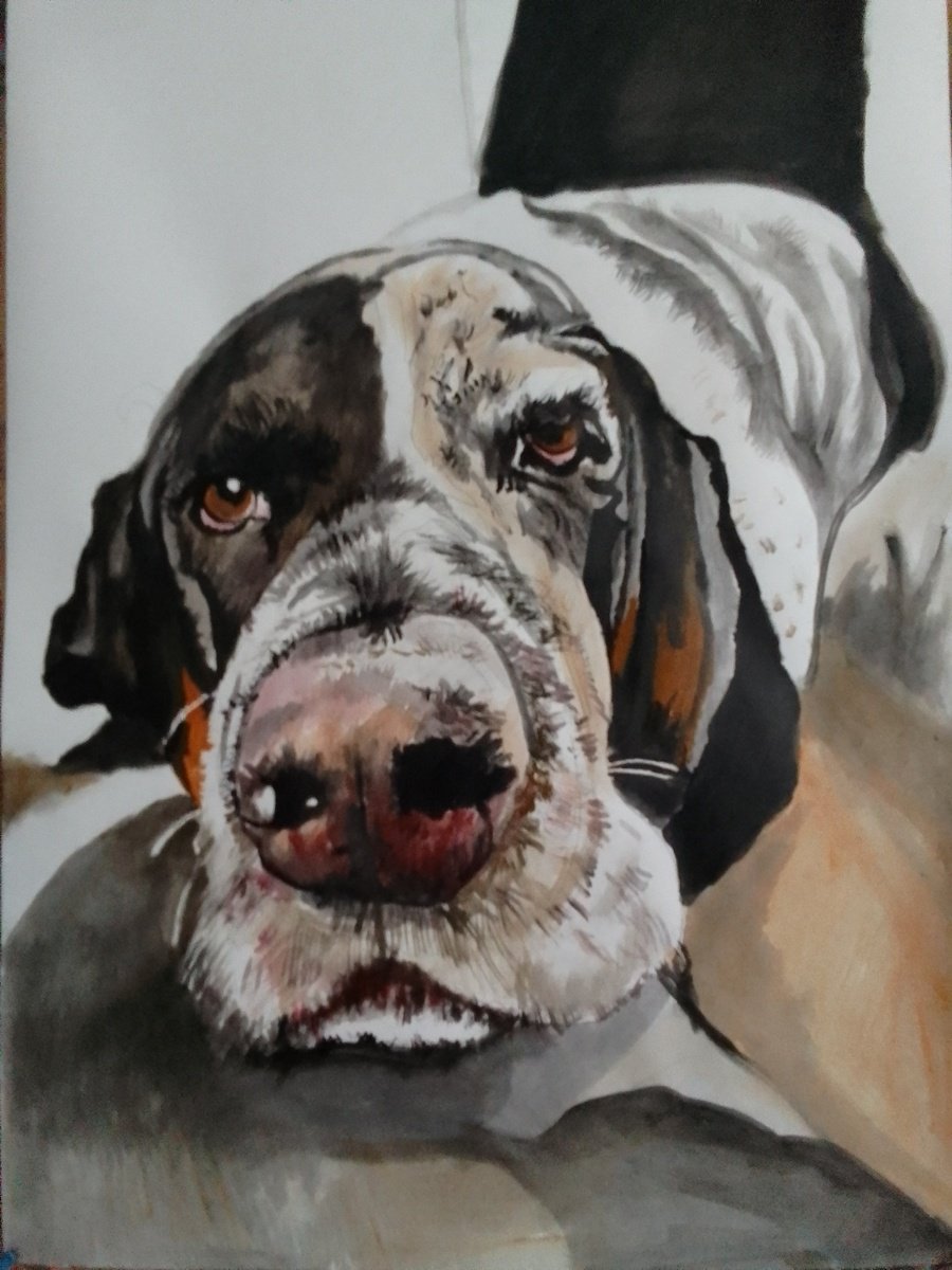 Photorealistic Animal Acrylic Painting By Soso Kumsiashvili, 24 X 33", Bassethound, Original Artwork