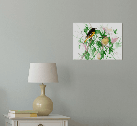 Baltimore Oriole BIrds in the Wild, Male and female birds and flowers artwork