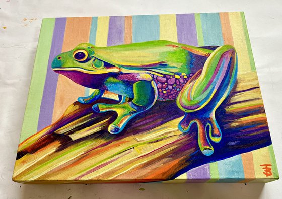 The Colourful Frog