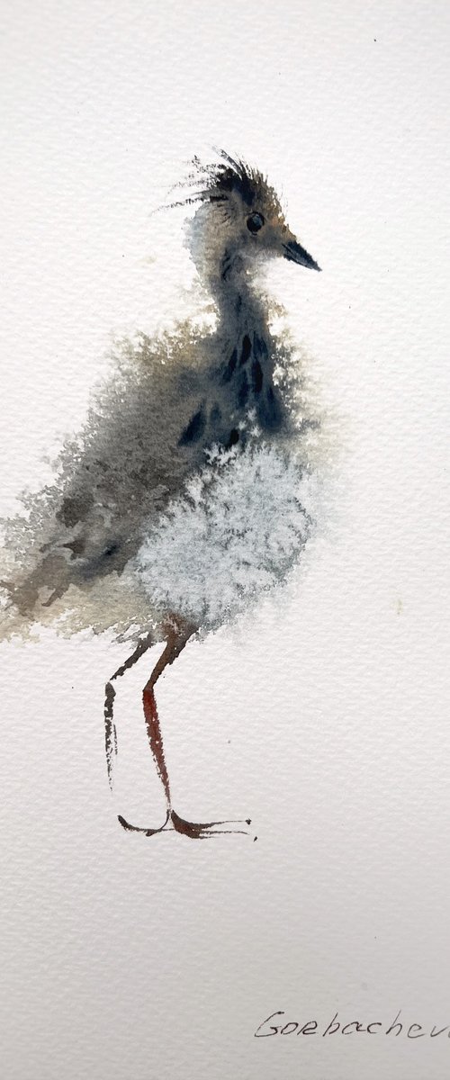 Lapwing #2 by Eugenia Gorbacheva